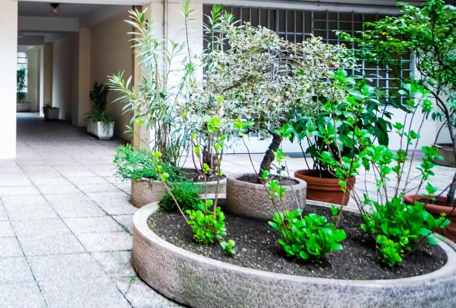 קומו Green Leaf Apartment איטליה